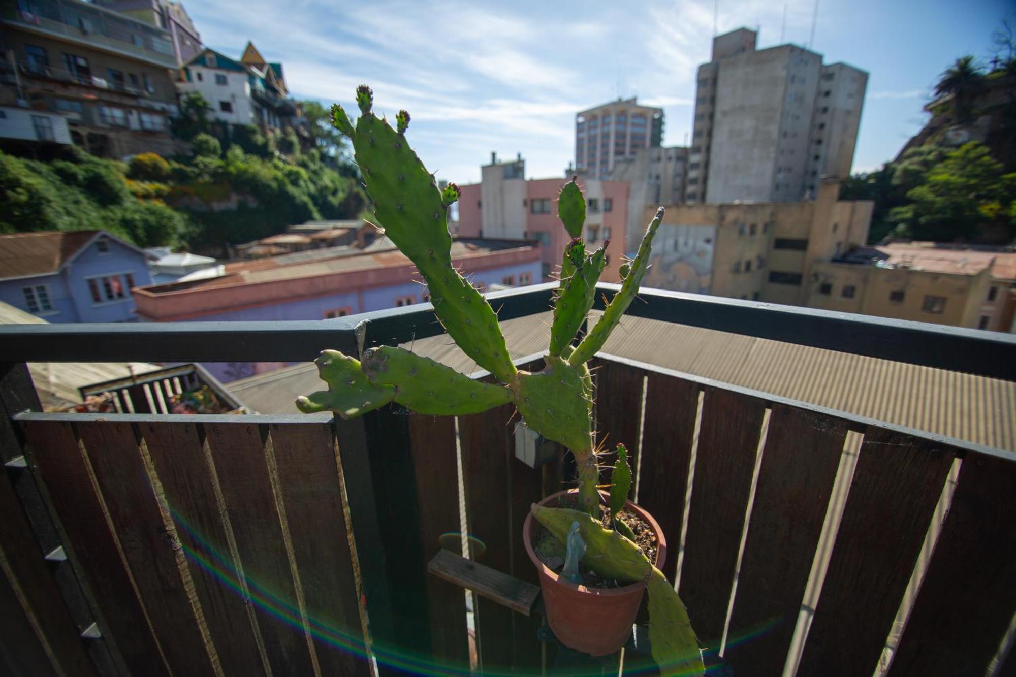 La Casa Del Puerto, Hostal Cultural, Cerro Alegre Valparaíso Esterno foto
