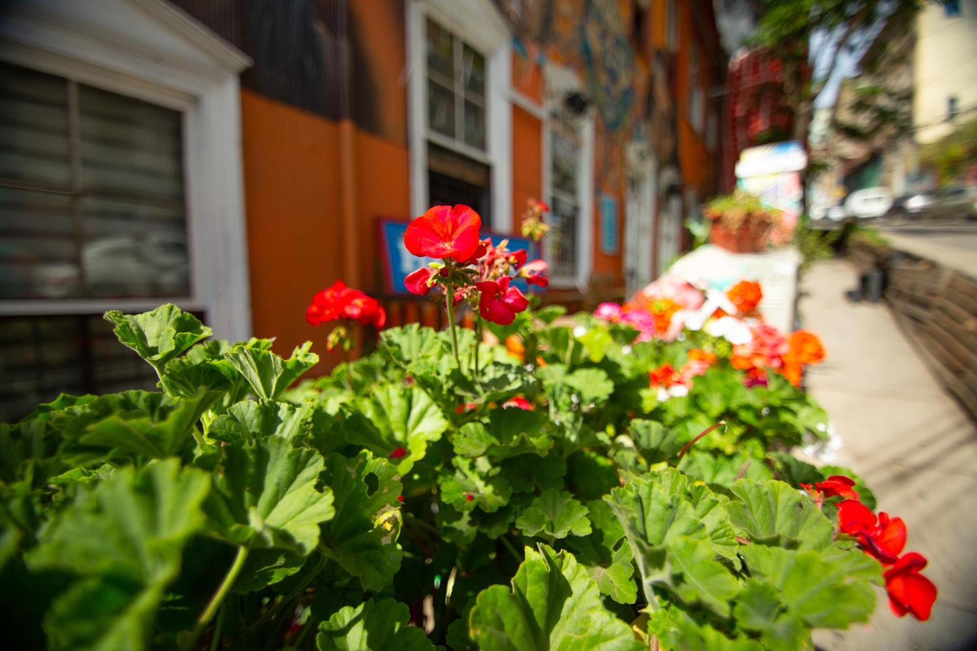 La Casa Del Puerto, Hostal Cultural, Cerro Alegre Valparaíso Esterno foto
