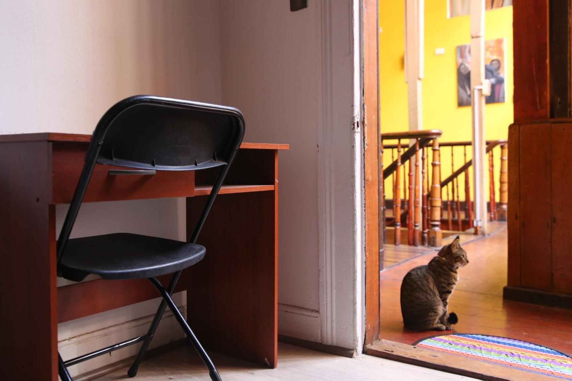 La Casa Del Puerto, Hostal Cultural, Cerro Alegre Valparaíso Esterno foto